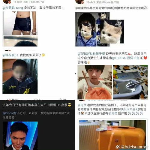 吃瓜路人微博,揭秘娱乐圈幕后故事