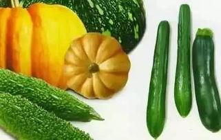 下安村吃瓜,夏日里的“吃瓜”盛宴，探寻乡村生活新风尚