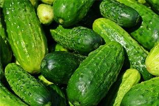 梦见买瓜孑吃,揭秘买瓜吃瓜的神秘寓意