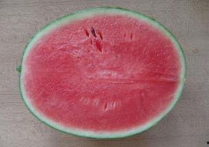 玲珑瓜如何吃,解锁夏日清新美味