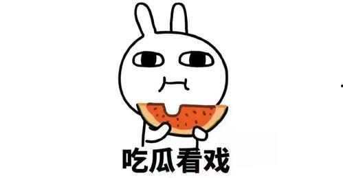 吃瓜弟q群,揭秘网络社交圈的趣味与争议