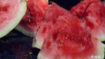 下午喝茶吃瓜,品茗赏瓜，悠然自得时光