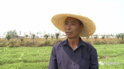 沭阳赵律师吃瓜,法律视角下的社会热点解读