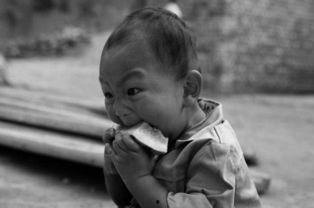 吃瓜文案儿子拍照