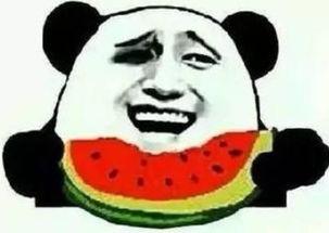 吃瓜群众也种瓜,体验自给自足的田园生活