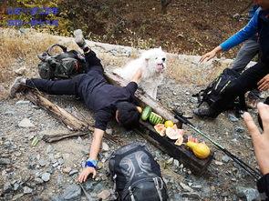 路演吃瓜,吃瓜群众见证行业风云变幻