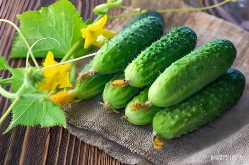 尿酸可以吃蒲瓜,尿酸高人群的蒲瓜食疗之道