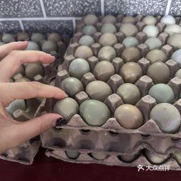 聚仙阁吃瓜,吃瓜群众的欢乐盛宴