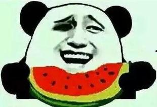 吃瓜速吃,轻松掌握热门话题，畅享娱乐盛宴