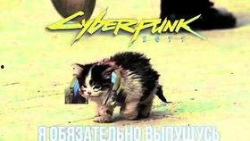 免费吃瓜卷毛,揭秘网络红人的吸金秘籍