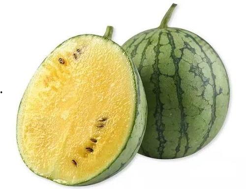 苏辞准备吃瓜,娱乐圈幕后真相曝光