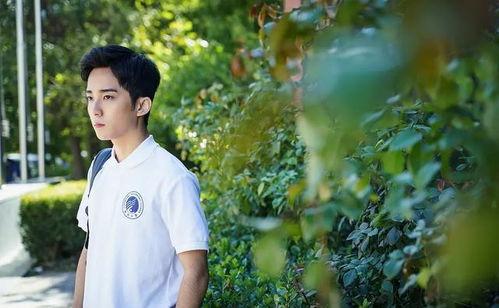 郭子凡吃瓜全集,揭秘娱乐圈幕后风云