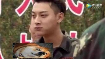 默默吃瓜无人闻,揭秘网络时代的沉默旁观者