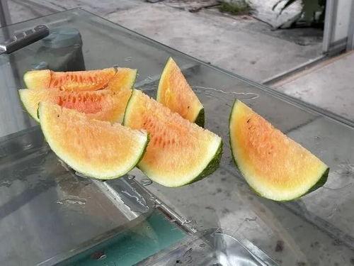 农村吃瓜间在山上吃瓜视频,农村吃瓜间欢乐时光