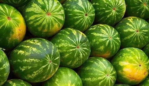 吃瓜不吃瓜藤,品味美味，拒绝瓜藤困扰