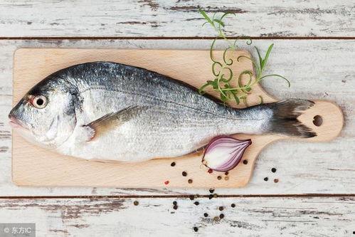 海边吃八瓜鱼,八瓜鱼的美味诱惑