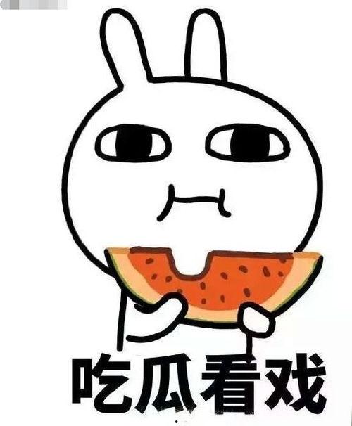 吃瓜冻死,揭秘“吃瓜冻死”背后的真相与反思