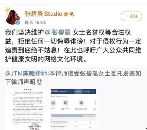 吃瓜爆料事件视频,视频事件背后的真相与争议