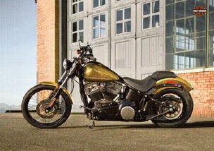 哈雷摩托吃瓜,一场跨界狂欢背后的争议与反思