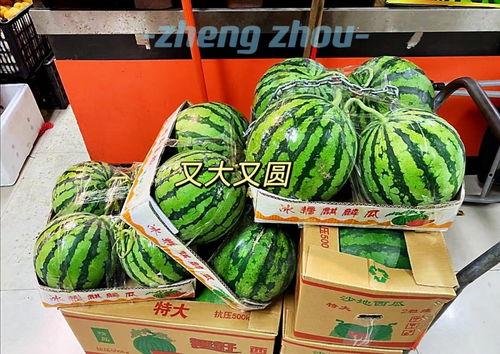 郑州初中吃瓜,校园生活新风尚