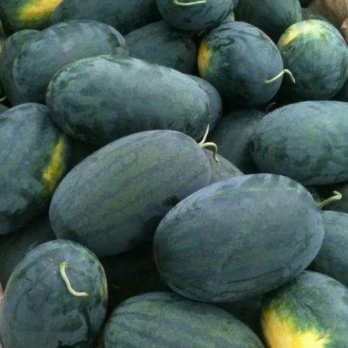 缅甸黑料吃瓜,一场吃瓜群众的狂欢盛宴