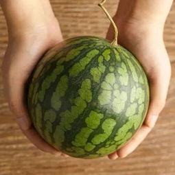 秀儿吃瓜,揭秘娱乐圈幕后故事