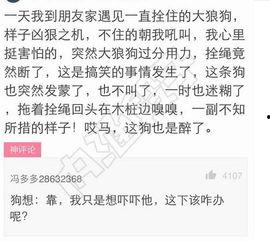 批判吃瓜图片搞笑