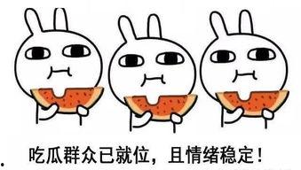 犯贱套路聊天吃瓜,揭秘吃瓜群众的欢乐盛宴