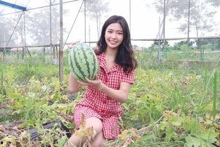 吃瓜直播间夏黄,吃瓜直播间的风云人物