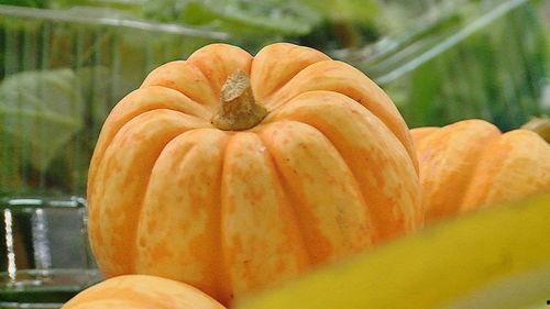 吃瓜小桔,揭秘娱乐圈那些不为人知的幕后故事